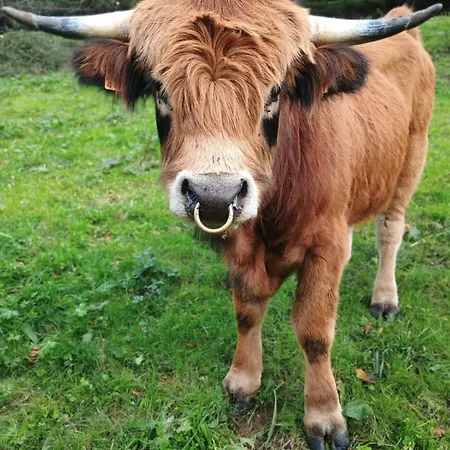 Rural Reciegos Complejo Agroturistico Hétvégi ház